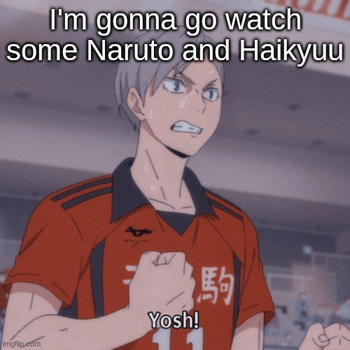 Adiyos | I'm gonna go watch some Naruto and Haikyuu | image tagged in yosh | made w/ Imgflip meme maker