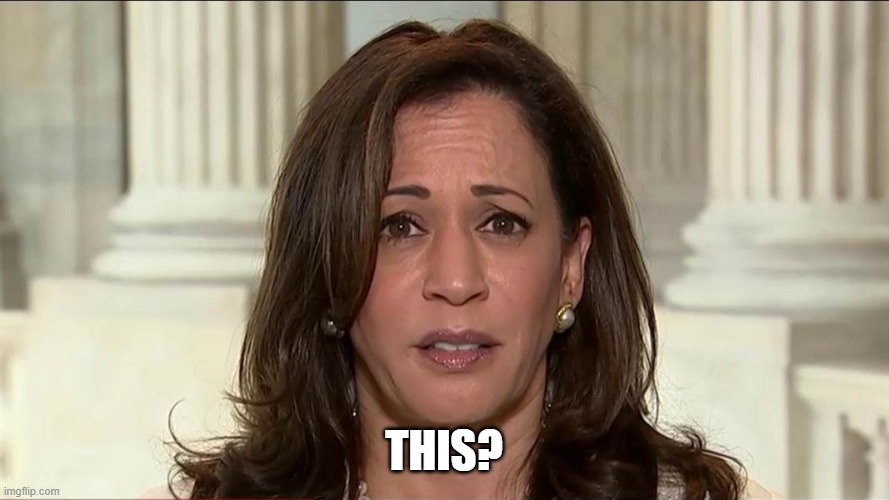 kamala harris | THIS? | image tagged in kamala harris | made w/ Imgflip meme maker