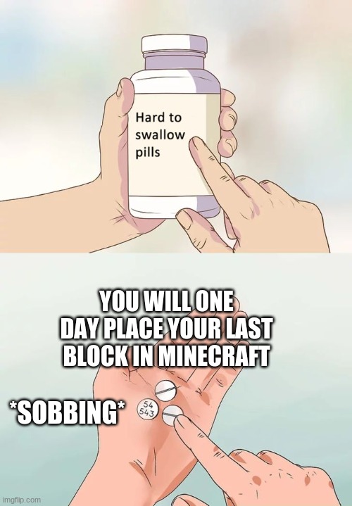 :( | YOU WILL ONE DAY PLACE YOUR LAST BLOCK IN MINECRAFT; *SOBBING* | image tagged in memes,hard to swallow pills,minecraft,sad | made w/ Imgflip meme maker