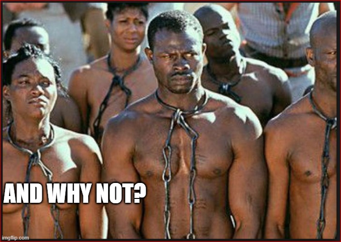 Slavery is Heritage | AND WHY NOT? | image tagged in slavery is heritage | made w/ Imgflip meme maker