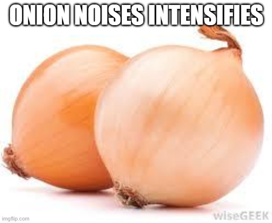 onions | ONION NOISES INTENSIFIES | image tagged in onions | made w/ Imgflip meme maker