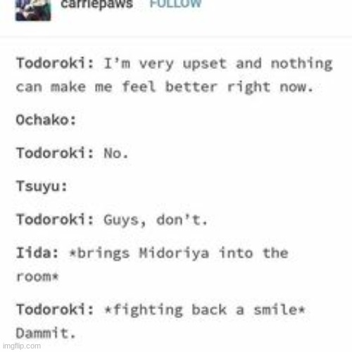 tododeku shippers have entered the stream | image tagged in mha | made w/ Imgflip meme maker