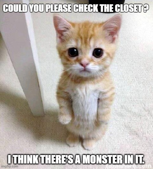 If not, I can't sleep | COULD YOU PLEASE CHECK THE CLOSET ? I THINK THERE'S A MONSTER IN IT. | image tagged in cute cat,funny,meme,monster,closet | made w/ Imgflip meme maker