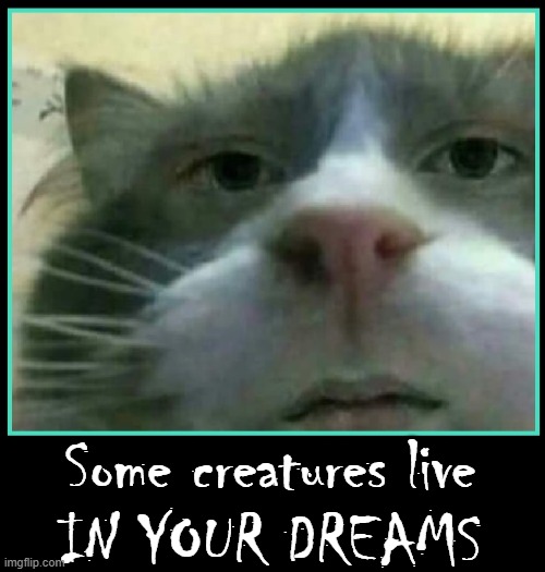 Don't Go to Sleep... | Some creatures live; IN YOUR DREAMS | image tagged in vince vance,cats,freaky,can't unsee,memes,funny cat memes | made w/ Imgflip meme maker