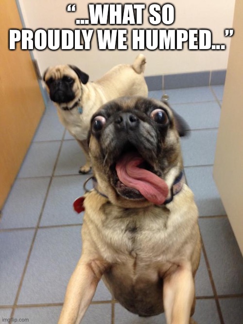 pug love | “...WHAT SO PROUDLY WE HUMPED...” | image tagged in pug love | made w/ Imgflip meme maker