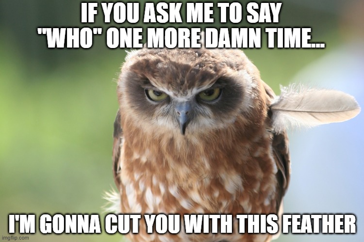 HostOwl | IF YOU ASK ME TO SAY "WHO" ONE MORE DAMN TIME... I'M GONNA CUT YOU WITH THIS FEATHER | image tagged in funny bird,owl | made w/ Imgflip meme maker