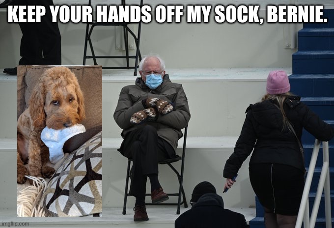 Bernie sitting | KEEP YOUR HANDS OFF MY SOCK, BERNIE. | image tagged in bernie sitting | made w/ Imgflip meme maker