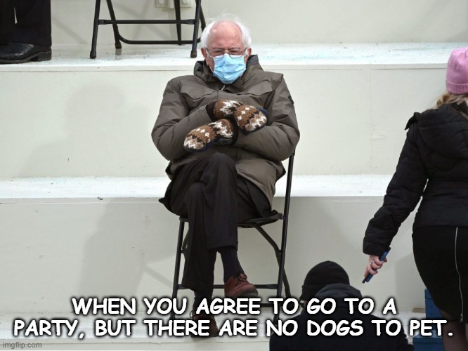 More Bernie | WHEN YOU AGREE TO GO TO A PARTY, BUT THERE ARE NO DOGS TO PET. | image tagged in bernie sanders mittens | made w/ Imgflip meme maker