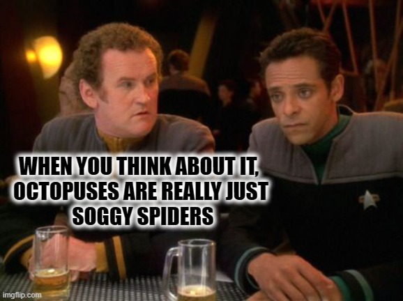 O'Brien and Octopi | WHEN YOU THINK ABOUT IT, 
OCTOPUSES ARE REALLY JUST
 SOGGY SPIDERS | image tagged in o'brien and bashir punchline,octopi,octouses,dad jokes,star trek deep space nine | made w/ Imgflip meme maker