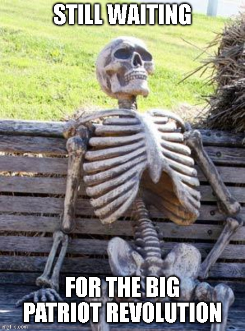 when the hell are we going to take back our country? | STILL WAITING; FOR THE BIG PATRIOT REVOLUTION | image tagged in memes,waiting skeleton | made w/ Imgflip meme maker