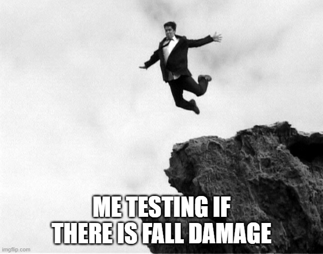Fall Damage | ME TESTING IF THERE IS FALL DAMAGE | image tagged in man jumping off a cliff | made w/ Imgflip meme maker