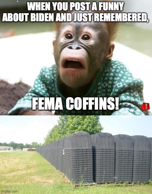 Fema Coffins | WHEN YOU POST A FUNNY ABOUT BIDEN AND JUST REMEMBERED, FEMA COFFINS! | image tagged in surprised monkey | made w/ Imgflip meme maker