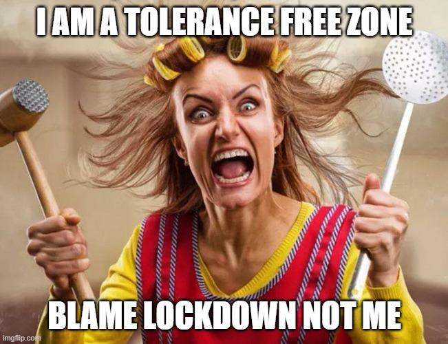 No tolerance Lockdown did this to me | I AM A TOLERANCE FREE ZONE; BLAME LOCKDOWN NOT ME | image tagged in tolerance,lockdown,crazy | made w/ Imgflip meme maker