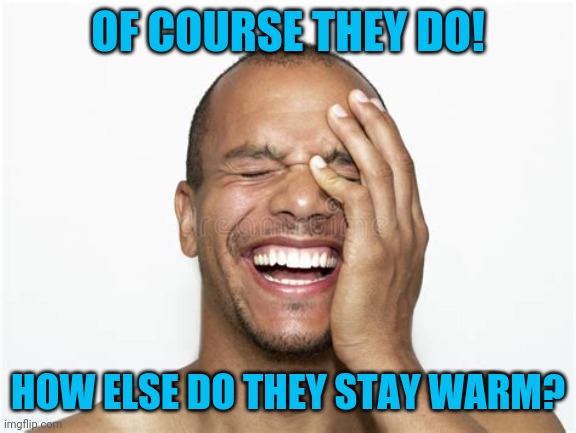 Laughing guy | OF COURSE THEY DO! HOW ELSE DO THEY STAY WARM? | image tagged in laughing guy | made w/ Imgflip meme maker