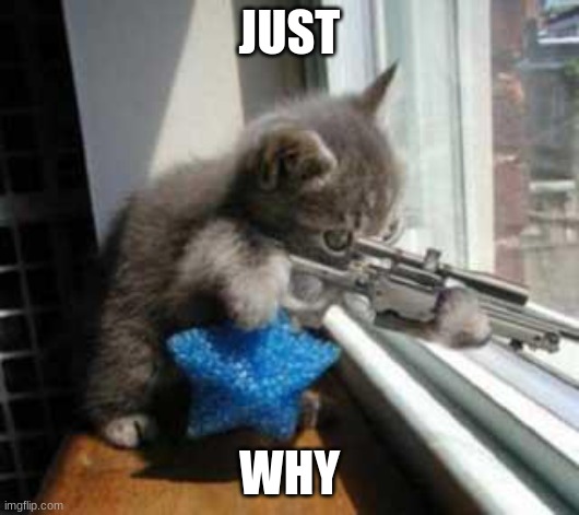 CatSniper | JUST; WHY | image tagged in catsniper | made w/ Imgflip meme maker