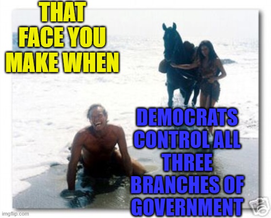 THAT FACE YOU MAKE WHEN Democrats Control All Three Branches Of Government | THAT FACE YOU MAKE WHEN; DEMOCRATS CONTROL ALL THREE BRANCHES OF GOVERNMENT | image tagged in heston planet of the apes | made w/ Imgflip meme maker
