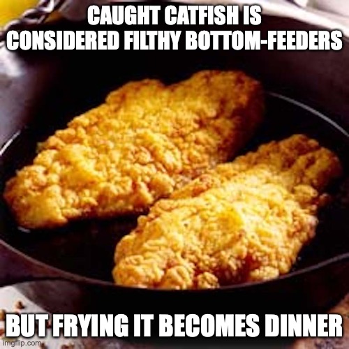 Fried Catfish | CAUGHT CATFISH IS CONSIDERED FILTHY BOTTOM-FEEDERS; BUT FRYING IT BECOMES DINNER | image tagged in catfish,deep fried,memes | made w/ Imgflip meme maker