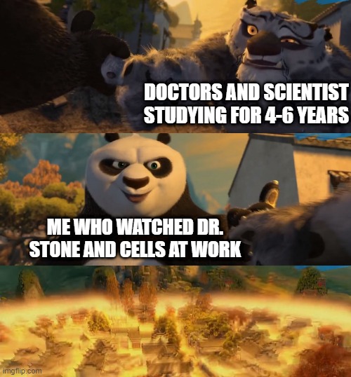Reject School, Learn Anime | DOCTORS AND SCIENTIST STUDYING FOR 4-6 YEARS; ME WHO WATCHED DR. STONE AND CELLS AT WORK | image tagged in kung fu panda counterpt | made w/ Imgflip meme maker