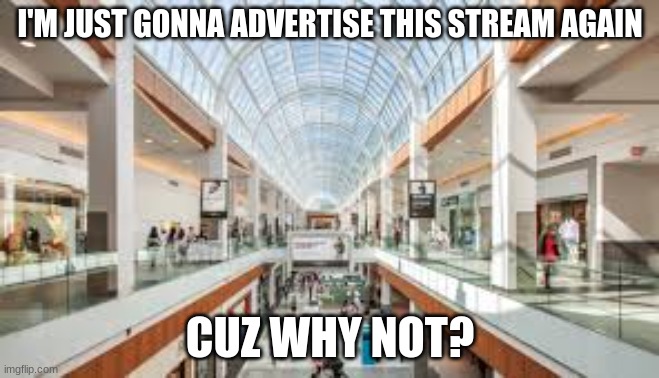 Shopping Mall | I'M JUST GONNA ADVERTISE THIS STREAM AGAIN; CUZ WHY NOT? | image tagged in shopping mall | made w/ Imgflip meme maker