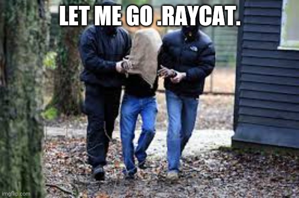 Kidnapping | LET ME GO .RAYCAT. | image tagged in kidnapping | made w/ Imgflip meme maker