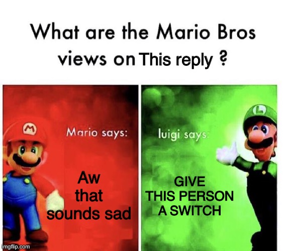 Mario Bros Views | Aw that sounds sad GIVE THIS PERSON A SWITCH This reply | image tagged in mario bros views | made w/ Imgflip meme maker