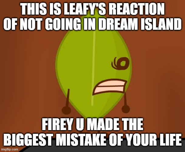 another of my brain's idea | THIS IS LEAFY'S REACTION OF NOT GOING IN DREAM ISLAND; FIREY U MADE THE BIGGEST MISTAKE OF YOUR LIFE | image tagged in bfdi wat face,bfdi | made w/ Imgflip meme maker