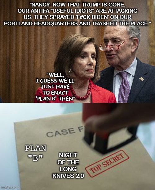 You Mean They Didn't Like the Dems This Whole Time Either? | NIGHT OF THE LONG KNIVES 2.0; PLAN "B" | image tagged in nancy pelosi,check schumer,top secret | made w/ Imgflip meme maker