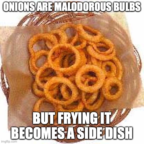 Onion Rings | ONIONS ARE MALODOROUS BULBS; BUT FRYING IT BECOMES A SIDE DISH | image tagged in onion,fried foods,memes | made w/ Imgflip meme maker