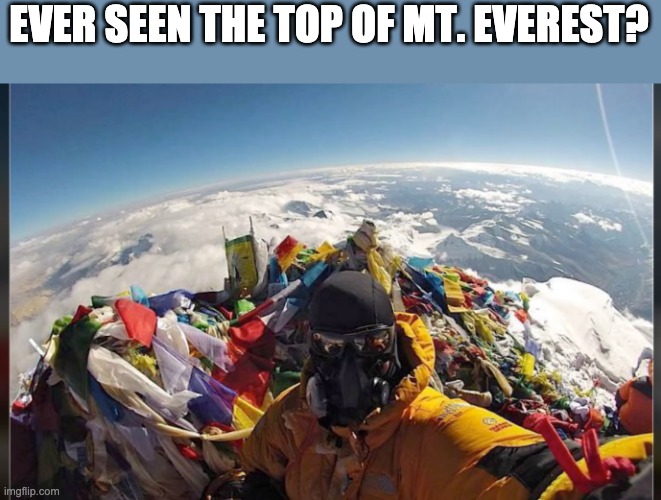 Take this, flat earthers! | EVER SEEN THE TOP OF MT. EVEREST? | image tagged in mt everest,stop reading the tags | made w/ Imgflip meme maker