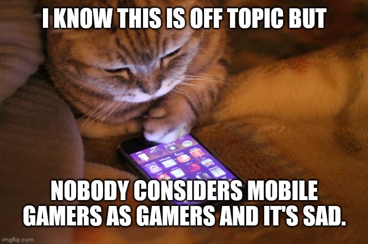 Cat with mobile phone | I KNOW THIS IS OFF TOPIC BUT NOBODY CONSIDERS MOBILE GAMERS AS GAMERS AND IT'S SAD. | image tagged in cat with mobile phone | made w/ Imgflip meme maker