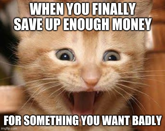 Excited Cat | WHEN YOU FINALLY SAVE UP ENOUGH MONEY; FOR SOMETHING YOU WANT BADLY | image tagged in memes,excited cat | made w/ Imgflip meme maker