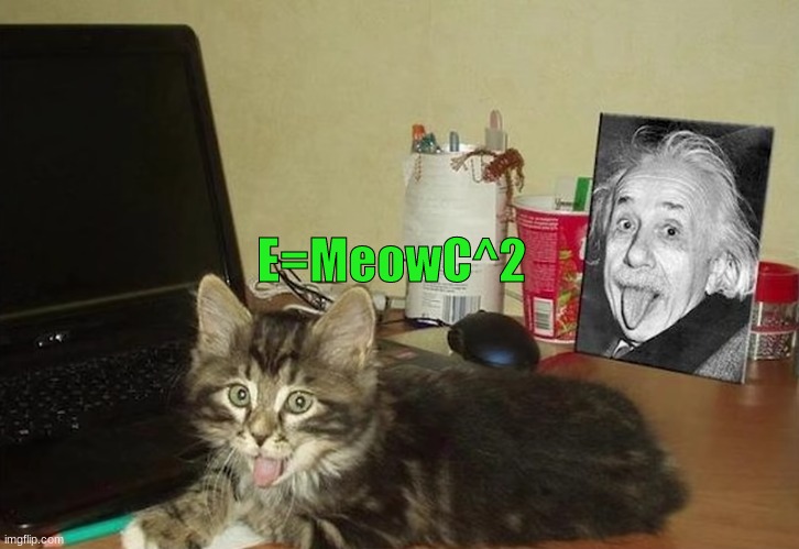 Albert Meowstein | E=MeowC^2 | image tagged in memes,fun,cats | made w/ Imgflip meme maker
