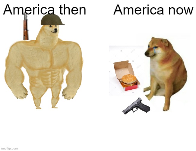 Buff Doge vs. Cheems | America then; America now | image tagged in memes,buff doge vs cheems,america,changes | made w/ Imgflip meme maker