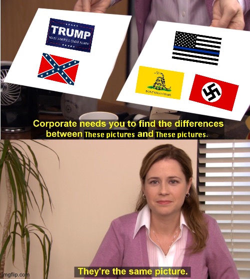 It's the same flag. | image tagged in they're the same picture,donald trump,nazi,fascist,confederate flag,don't tread on me | made w/ Imgflip meme maker
