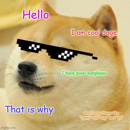 Doge | Hello; I am cool doge; I have pixel sunglases; That is why; And I say things like "dawg" and "sup" and "yo" | image tagged in memes,doge | made w/ Imgflip meme maker