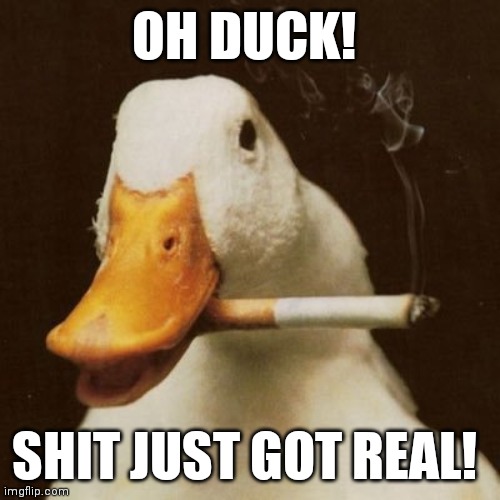 Oh duck! | OH DUCK! SHIT JUST GOT REAL! | image tagged in oh duck shit just got real,memes | made w/ Imgflip meme maker