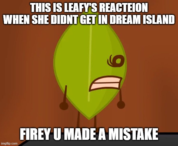 BFDI "Wat" Face | THIS IS LEAFY'S REACTEION WHEN SHE DIDNT GET IN DREAM ISLAND; FIREY U MADE A MISTAKE | image tagged in bfdi wat face | made w/ Imgflip meme maker