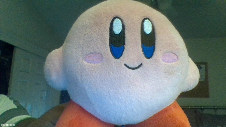 kirby stuffy