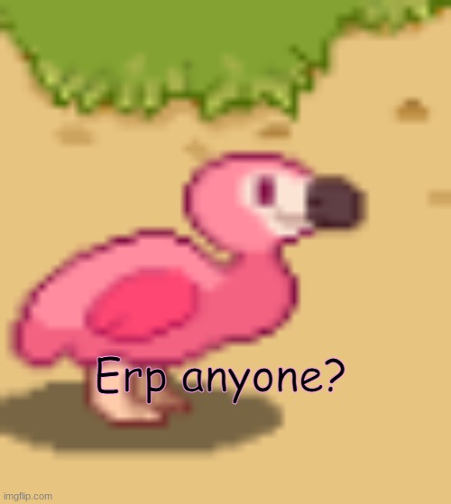 clouddays flamingo | Erp anyone? | image tagged in clouds flamingo | made w/ Imgflip meme maker