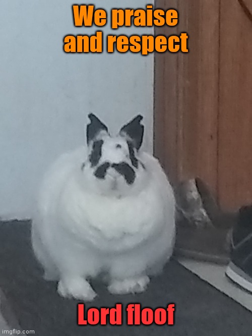 All hail Lord floof!! | We praise and respect; Lord floof | image tagged in don't read the tags,i said dont,please stop,i said please stop,okay for real stop,oml dude do you understand what stop means | made w/ Imgflip meme maker