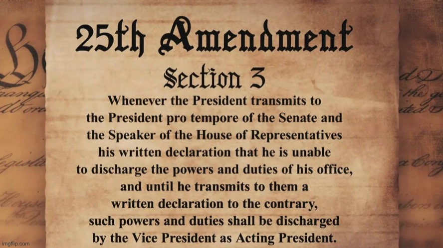 President_LaChancla and his VP have declared their incapacity by homework. They have transmitted acting President duties to moi | image tagged in 25th amendment,constitution,the constitution,president,meanwhile on imgflip,presidents | made w/ Imgflip meme maker