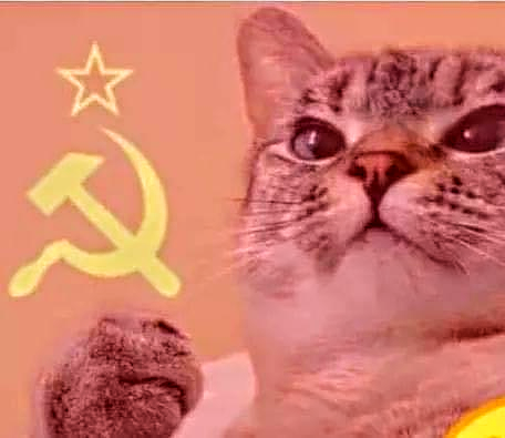 Communism Cat Blank Meme Template
