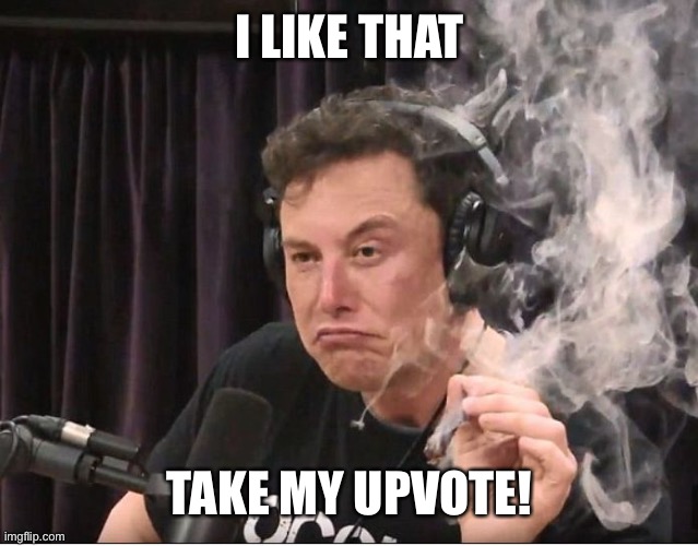 Elon Musk smoking a joint | I LIKE THAT TAKE MY UPVOTE! | image tagged in elon musk smoking a joint | made w/ Imgflip meme maker