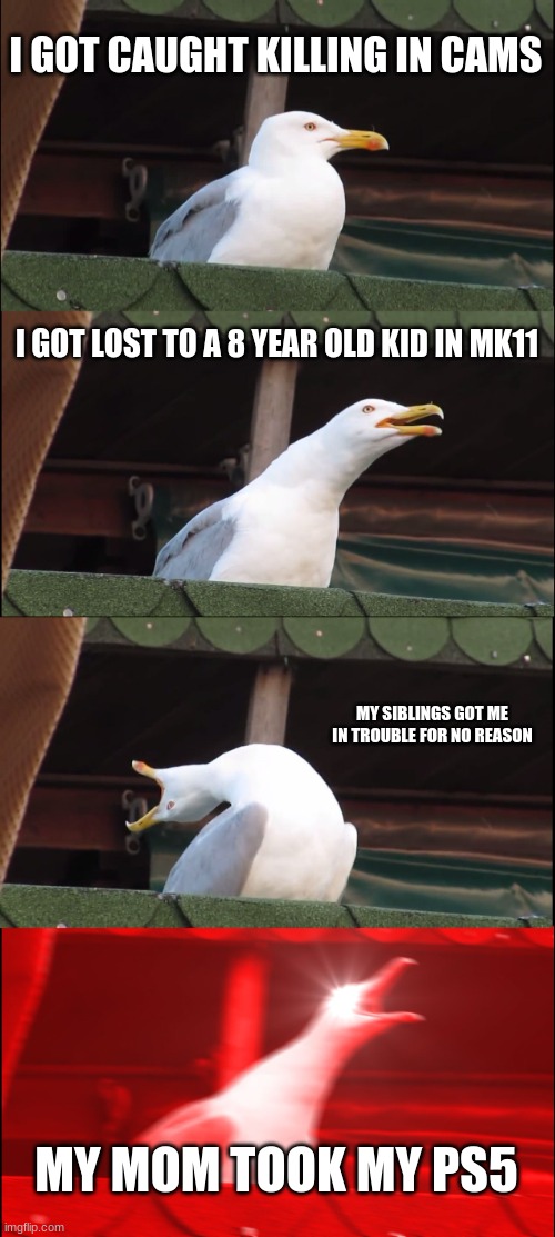 Inhaling Seagull Meme | I GOT CAUGHT KILLING IN CAMS; I GOT LOST TO A 8 YEAR OLD KID IN MK11; MY SIBLINGS GOT ME IN TROUBLE FOR NO REASON; MY MOM TOOK MY PS5 | image tagged in memes,inhaling seagull | made w/ Imgflip meme maker