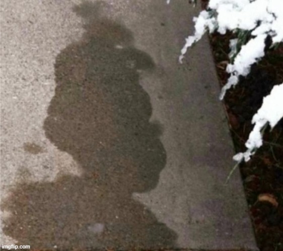 this wet spot looks like the grinch :-) | made w/ Imgflip meme maker