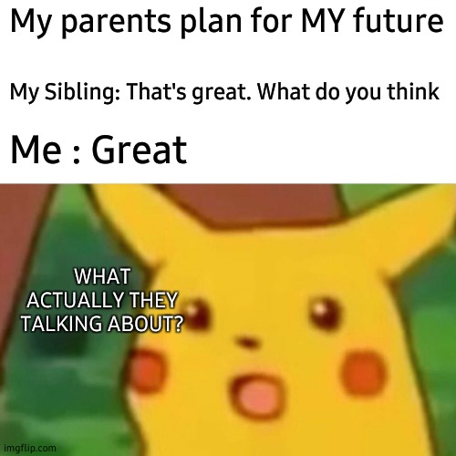 Nothing to know | My parents plan for MY future; My Sibling: That's great. What do you think; Me : Great; WHAT ACTUALLY THEY TALKING ABOUT? | image tagged in memes,surprised pikachu | made w/ Imgflip meme maker