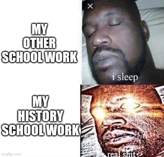My online class in a nutshell | MY OTHER SCHOOL WORK; MY HISTORY SCHOOL WORK | image tagged in i sleep real shit | made w/ Imgflip meme maker