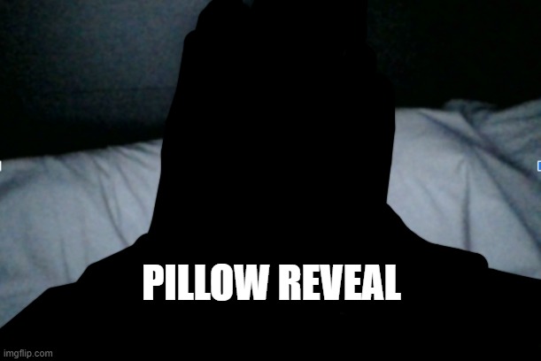 PILLOW REVEAL | made w/ Imgflip meme maker
