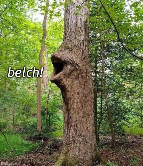 If a tree burps in the woods, and no one is around to hear it, does it still make a sound? | belch! | image tagged in funny memes,tree,belch | made w/ Imgflip meme maker