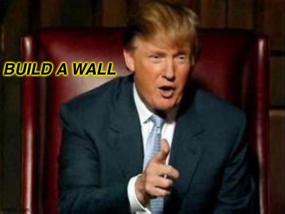 An Oldie But a Goldie |  BUILD A WALL | image tagged in donald trump,build a wall,build the wall,trump,memes,fun | made w/ Imgflip meme maker